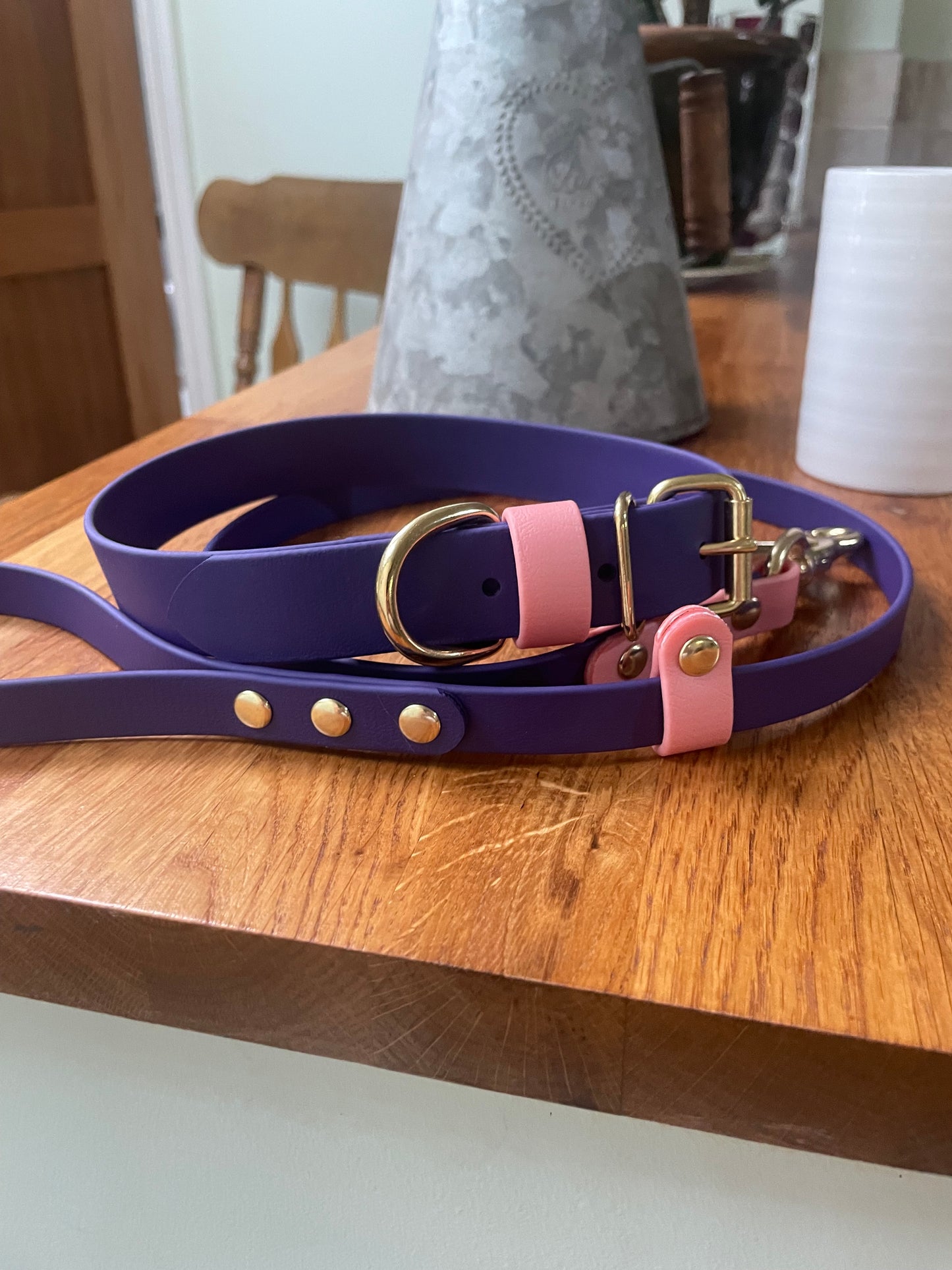 Waterproof Two Tone BioThane® Dog lead