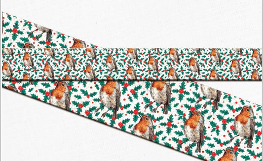 Christmas Robin Biothane Collar